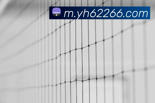 奖项图2